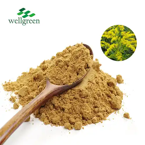 Goldenrod Extract